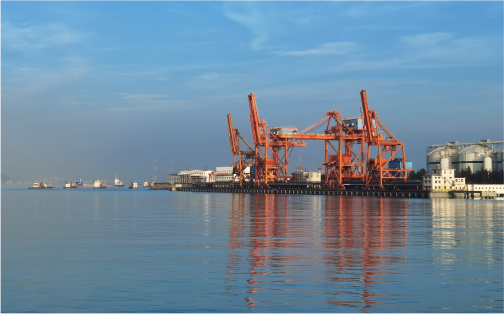 九五至尊VI口服务有限公司